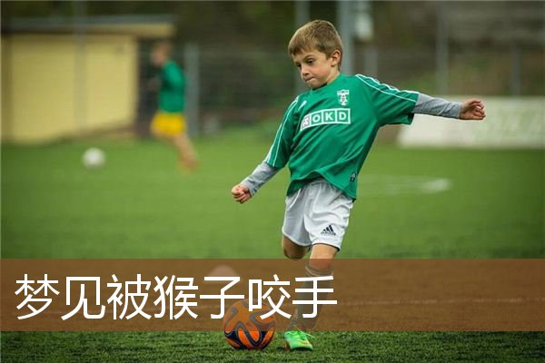 梦见被猴子咬手是什么意思