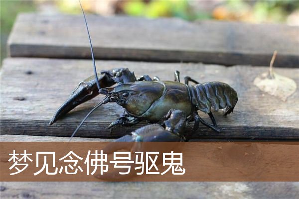 梦见念佛号驱鬼是什么意思