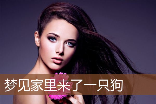 梦见家里来了一只狗是什么意思