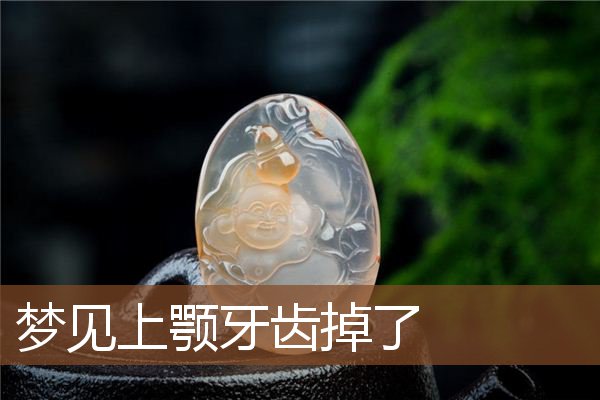 梦见上颚牙齿掉了是什么意思