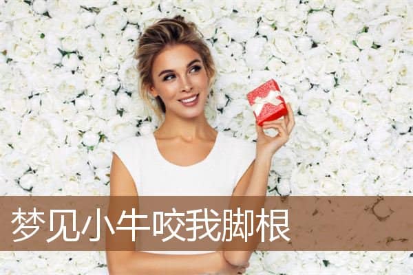 梦见小牛咬我脚根是什么意思