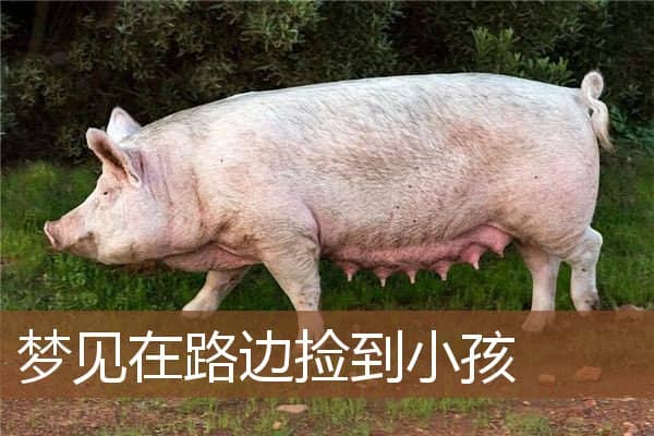 梦见在路边捡到小孩是什么意思