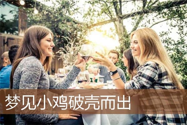 梦见小鸡破壳而出是什么意思