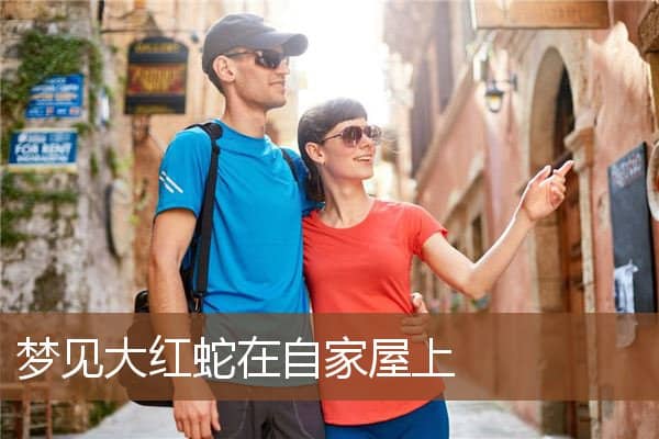 梦见大红蛇在自家屋上是什么意思