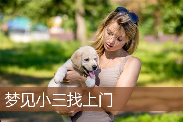 梦见小三找上门是什么意思