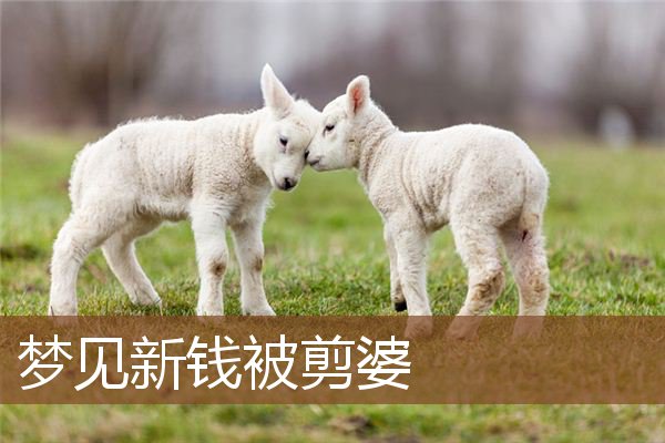 梦见新钱被剪婆是什么意思