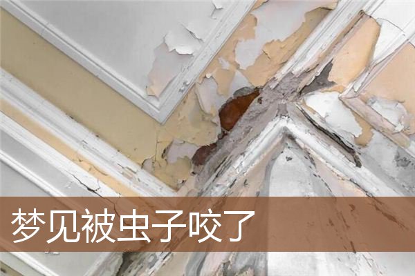 梦见被虫子咬了是什么意思