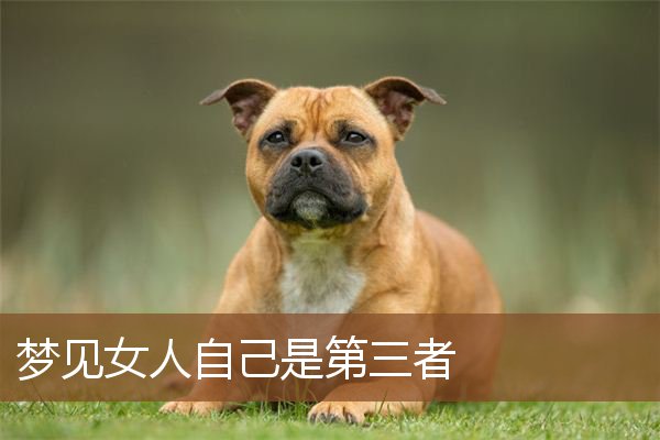 梦见女人自己是第三者是什么意思