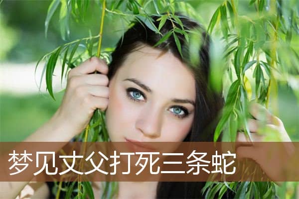 梦见丈父打死三条蛇是什么意思