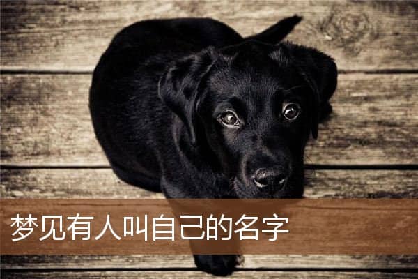 梦见有人叫自己的名字是什么意思