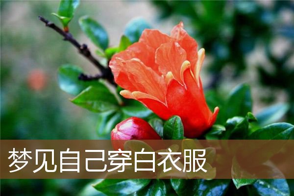 梦见自己穿白衣服是什么意思