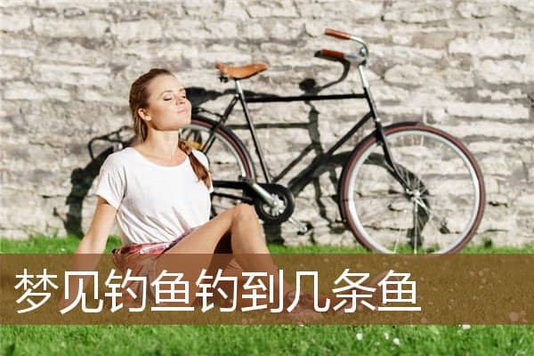 梦见钓鱼钓到几条鱼是什么意思