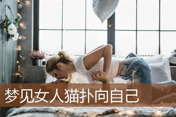 梦见女人猫扑向自己是什么意思