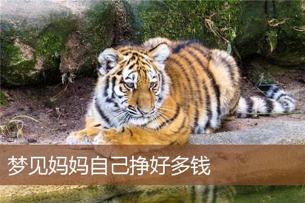 梦见妈妈自己挣好多钱是什么意思