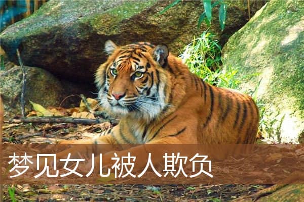 梦见女儿被人欺负是什么意思