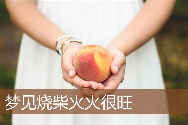 梦见烧柴火火很旺是什么意思