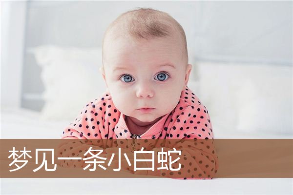 梦见一条小白蛇是什么意思