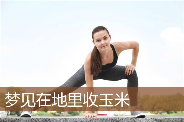 梦见在地里收玉米是什么意思