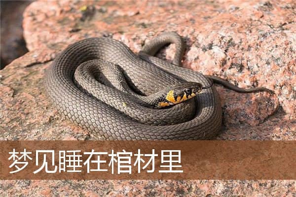 梦见睡在棺材里是什么意思