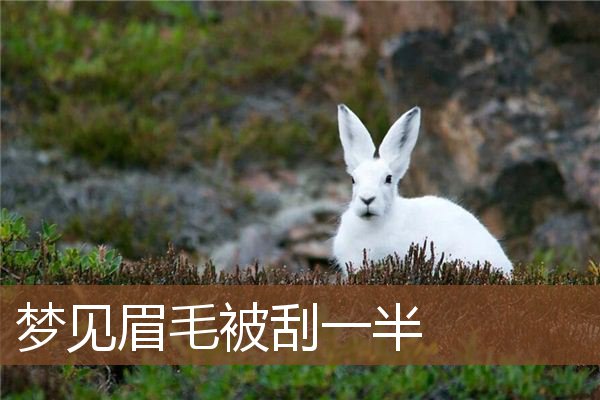 梦见眉毛被刮一半是什么意思