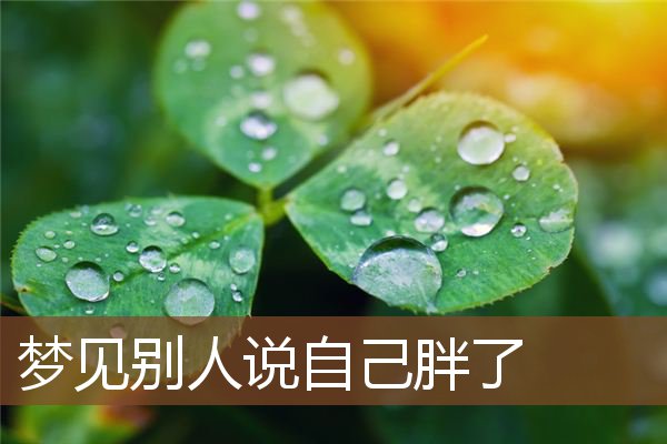 梦见别人说自己胖了是什么意思