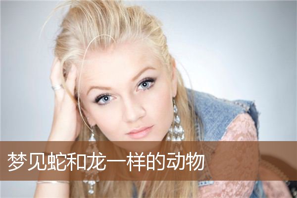 梦见蛇和龙一样的动物是什么意思