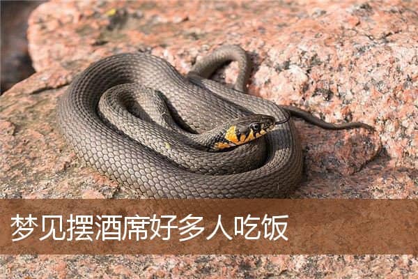 梦见摆酒席好多人吃饭是什么意思