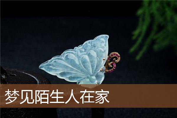 梦见陌生人在家是什么意思