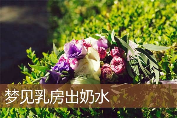 梦见乳房出奶水是什么意思