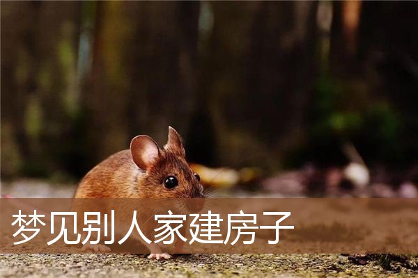 梦见别人家建房子是什么意思