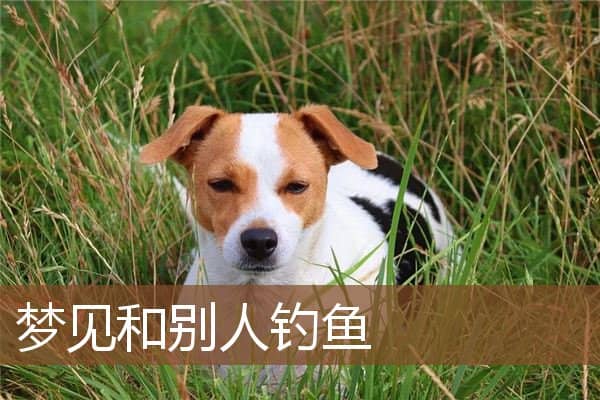 梦见和别人钓鱼是什么意思