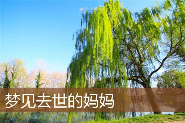 梦见去世的妈妈是什么意思