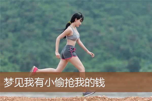 梦见我有小偷抢我的钱是什么意思