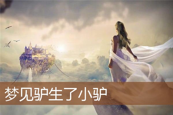 梦见驴生了小驴是什么意思