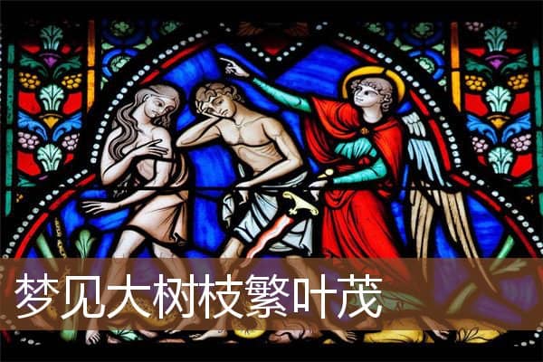 梦见大树枝繁叶茂是什么意思