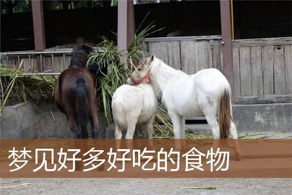 梦见好多好吃的食物是什么意思