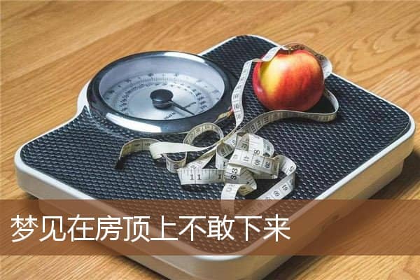 梦见在房顶上不敢下来是什么意思