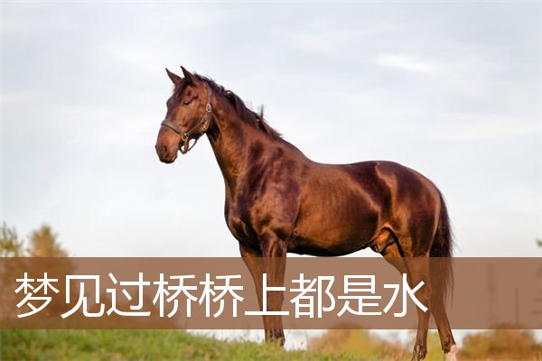 梦见过桥桥上都是水是什么意思