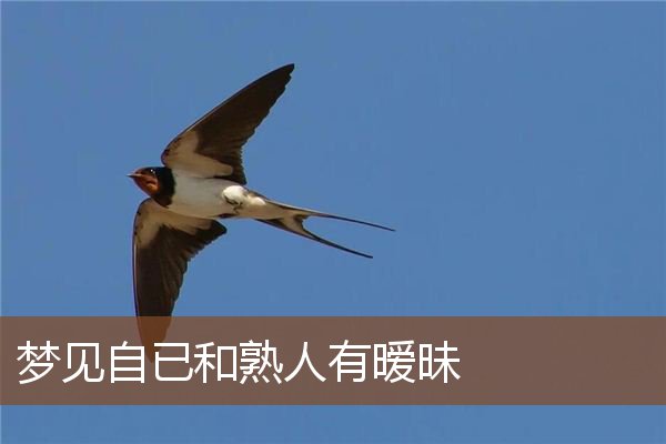 梦见自已和熟人有暧昧是什么意思