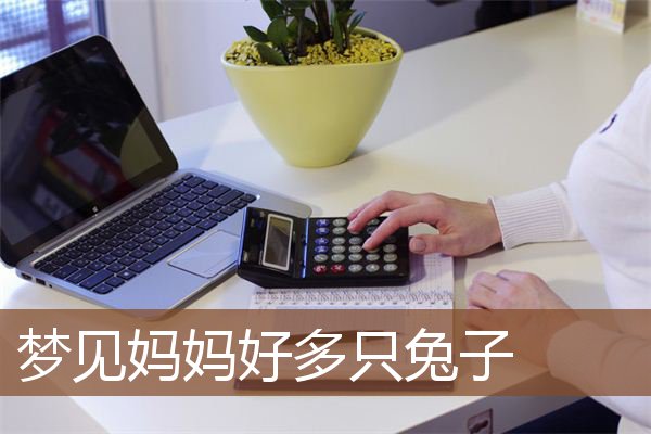 梦见妈妈好多只兔子是什么意思