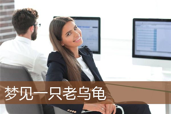 梦见一只老乌龟是什么意思