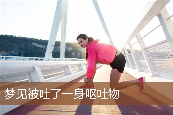 梦见被吐了一身呕吐物是什么意思