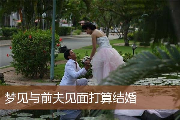 梦见与前夫见面打算结婚是什么意思