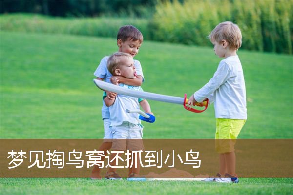 梦见掏鸟窝还抓到小鸟是什么意思