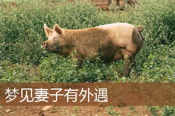 梦见妻子有外遇是什么意思