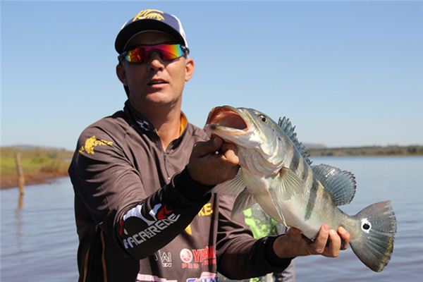 梦见抓了一条大鱼是什么意思