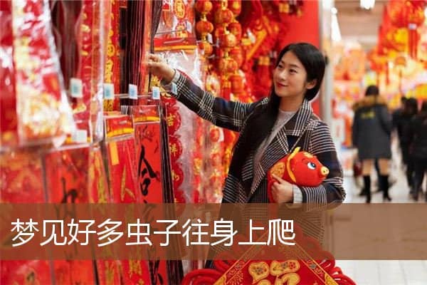 梦见好多虫子往身上爬是什么意思