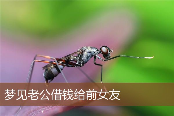 梦见老公借钱给前女友是什么意思