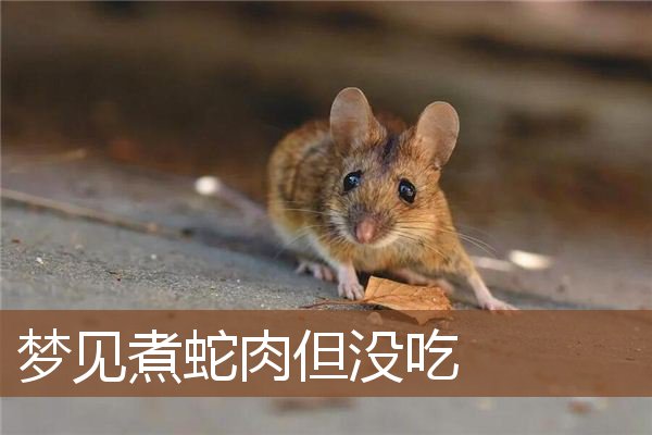 梦见煮蛇肉但没吃是什么意思