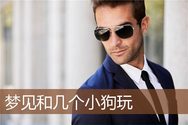 梦见和几个小狗玩是什么意思